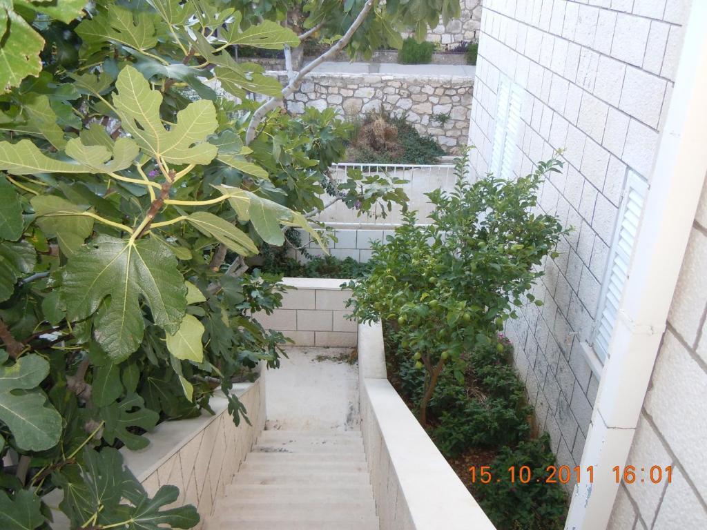 Central Apartment Dubrovnik Quarto foto