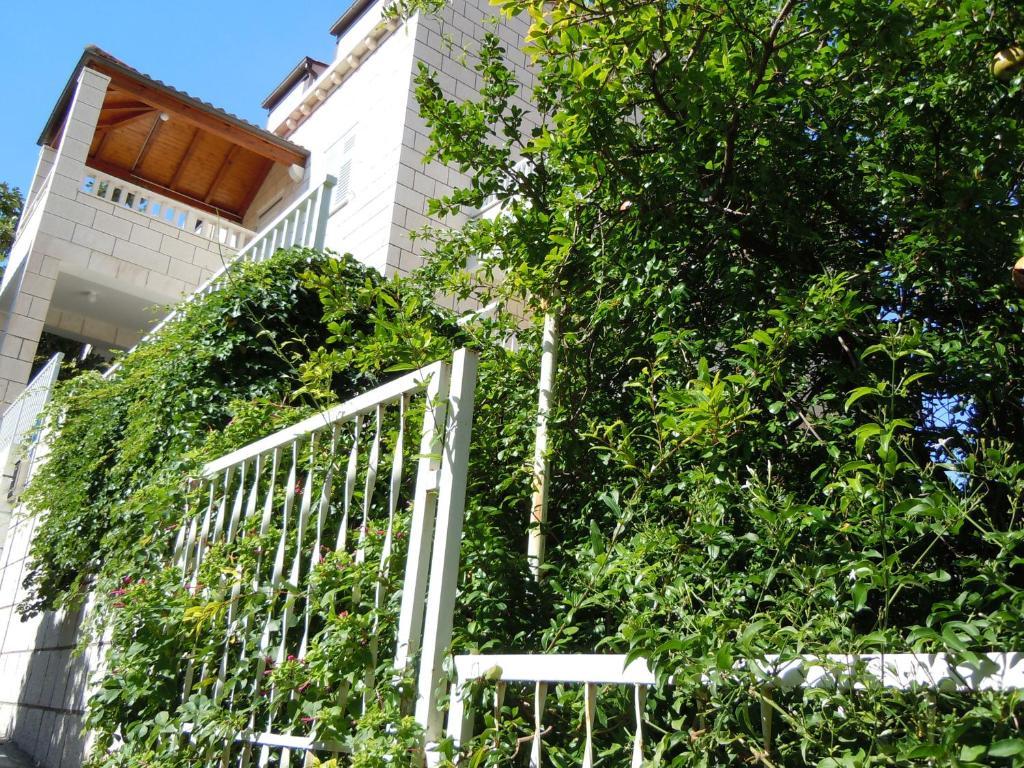 Central Apartment Dubrovnik Exterior foto